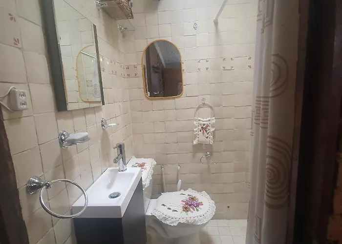 Apartment Cozy Mini Loft Near Colmex Flacso