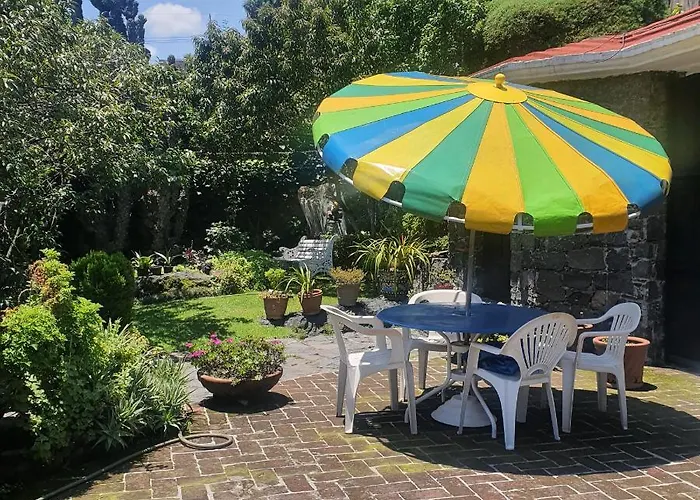 Cozy Mini Loft Near Colmex Flacso *