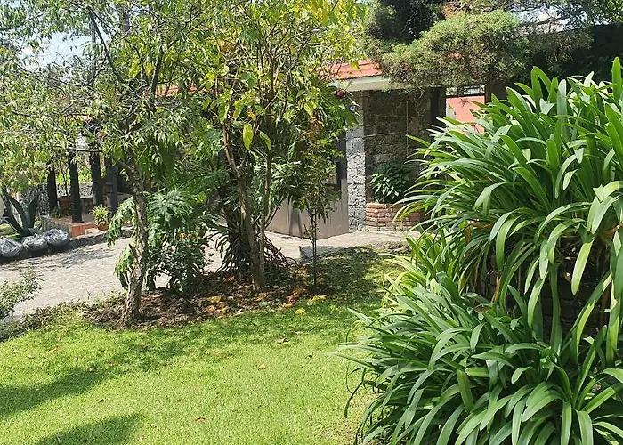 Cozy Mini Loft Near Colmex Flacso Apartment Mexico City